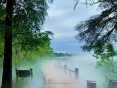 -东湖落雁景区