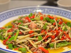 姜丝兔兔-新蜀会四川豆花(五羊店)