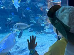 -海合安成都极地海洋公园