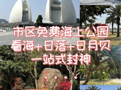 -野狸岛