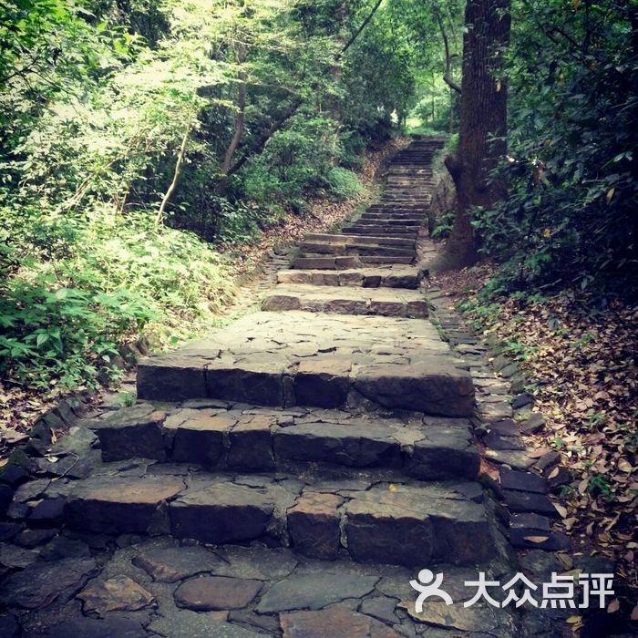 岳麓山风景区图片-北京自然风光-大众点评网