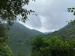 -广州市石门国家森林公园