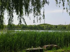 -九科绿洲