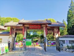 -团结湖公园