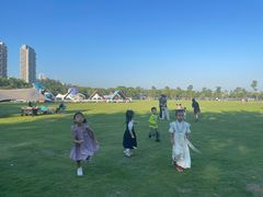 -芒洲湿地公园