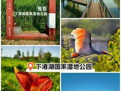 -下渚湖·湿地公园
