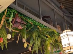 -桃源人家(东门店)