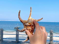 -三亚西岛海洋文化旅游区
