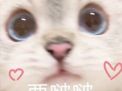 -霓裳茶舞(上海静安大悦城店)