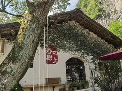 -村上春树