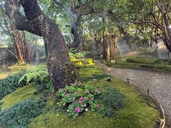 -Chom Cafe and Restaurant