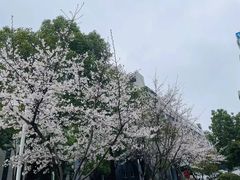 -虞山风景区