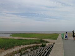 -南汇嘴观海公园