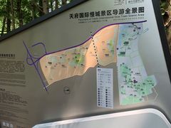 -桤木河湿地公园