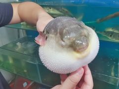 -瀏河老街土菜館(浏河店)