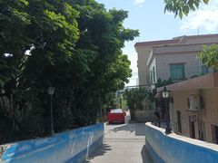-大湾区中央湿地公园-十九涌