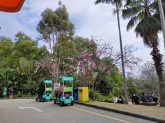 -深圳野生动物园