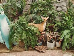 -石家庄市植物园
