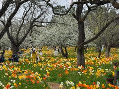 -名花谷生态庄园