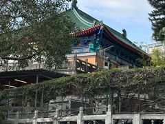-九龙寨城公园