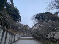 -成田山新胜寺