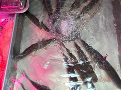 -东漖肉菜综合市场