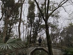 -青龙山国家森林公园