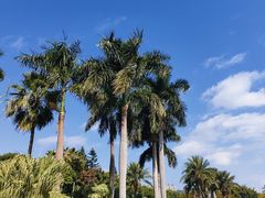 -白鹭洲公园