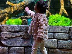 -沈阳海洋探索中心