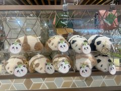 -city'super超·生活(国金中心商场店)