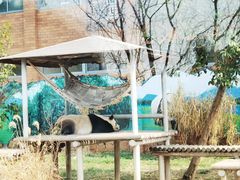 -苏州太湖国家湿地公园