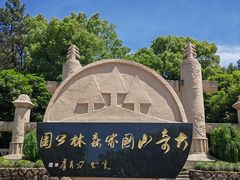 -大奇山国家森林公园