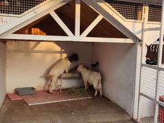 -金庭庄园酒店-停车场