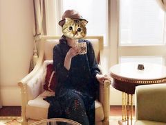 -广州富力丽思卡尔顿酒店