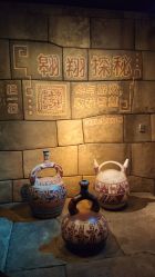 -翱翔飞越地平线