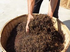 -大益茶庭(勐海会员中心店)