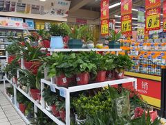 -大润发(东台店)