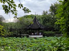-上海醉白池公园