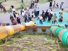 -南通洲际绿博园