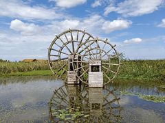 -宁波杭州湾国家湿地公园