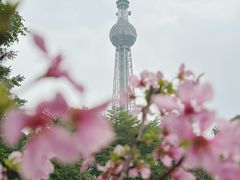 -文华公园(禅城区)