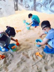 -恐龙探索乐园(磁器口店)