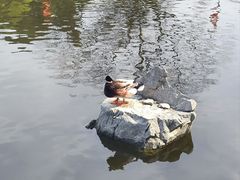 -桂林独秀峰王城景区
