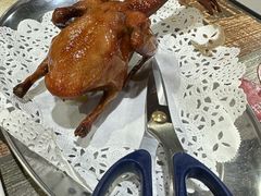 -石岐乳鸽村(南海第三分店)