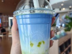-抱抱地球咖啡馆(国家海洋博物馆店)