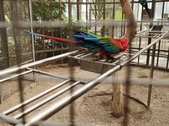 -南宫五洲植物乐园