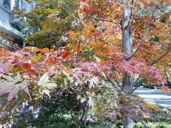 -北京理工大学(中关村校区)