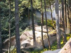 -玉苍山国家森林公园