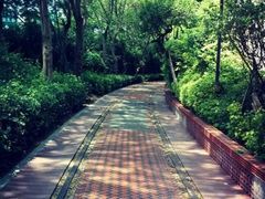 -铁路文化公园