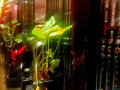 -上海1号私藏菜(静安店)